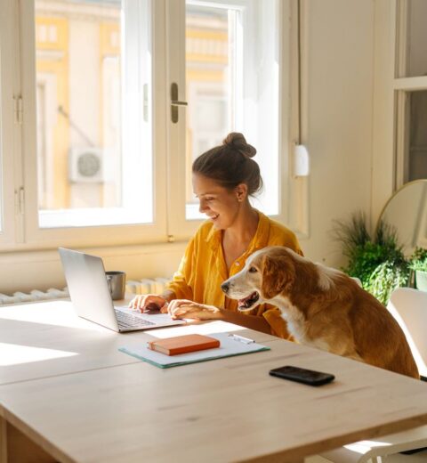 Freelance App Designer